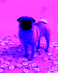 Pug Life