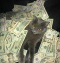 0ppa