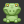 lizard_24